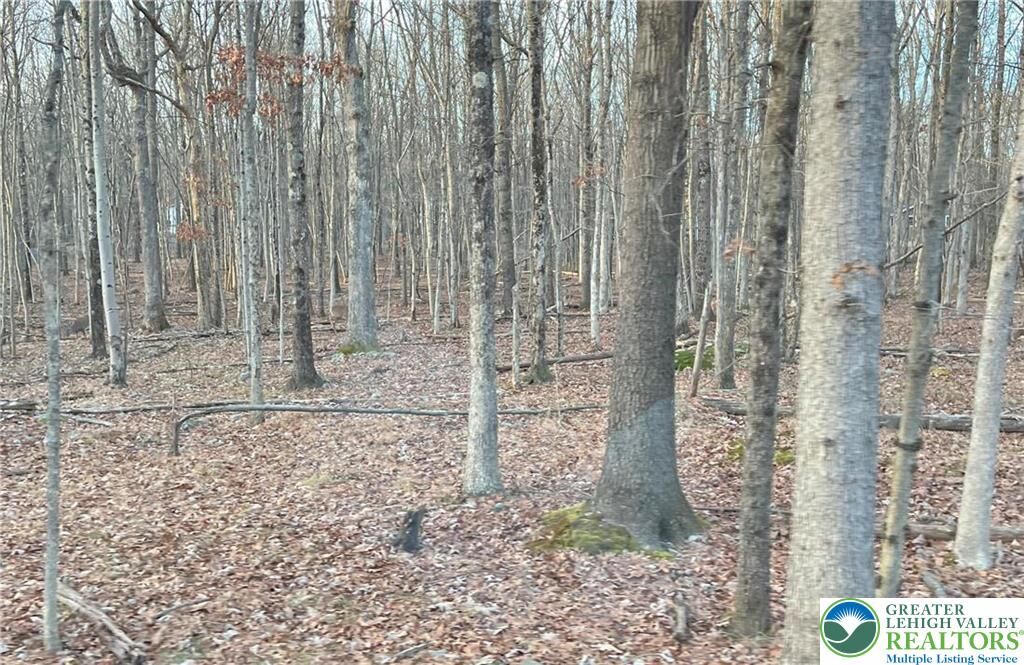 Property Photo:  6 Occonquan Trail 1723  PA 18210 