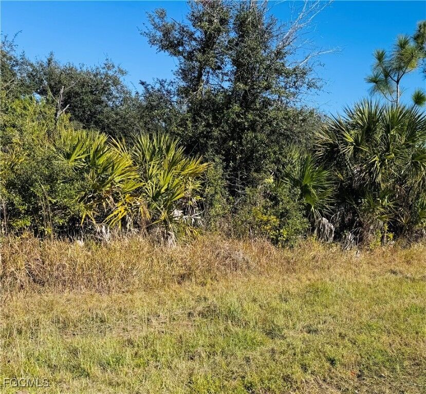 Property Photo:  12088 Dubarry Avenue  FL 33981 