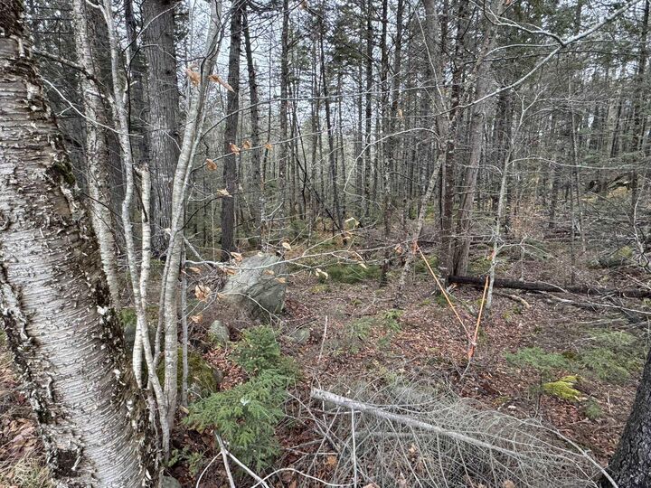 Property Photo:  Lot 78 Thumb Cap Point  NS B0T 1E0 