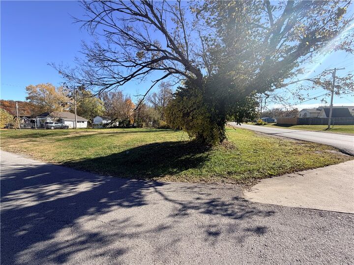 Property Photo:  000 S Washington Street  MO 64850 