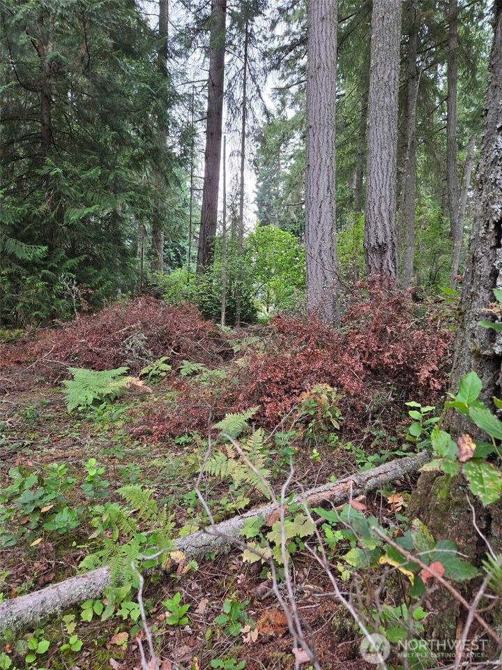 Property Photo:  11119  122nd Avenue Ct  WA 98303 