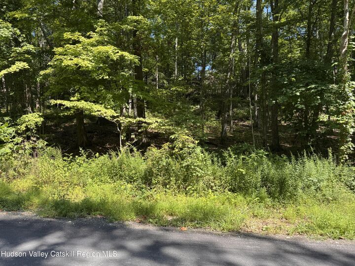 Property Photo:  17 Vanessa  NY 12580 
