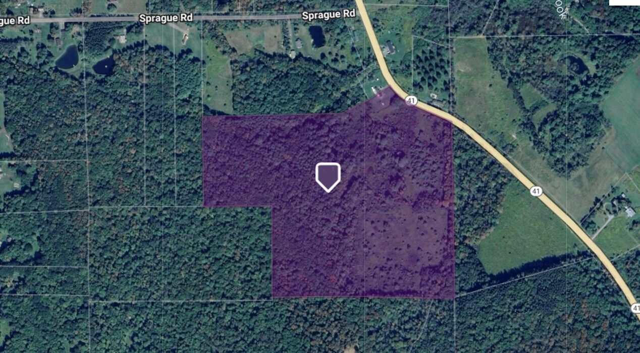 Property Photo:  0 Rt-41  NY 13730 