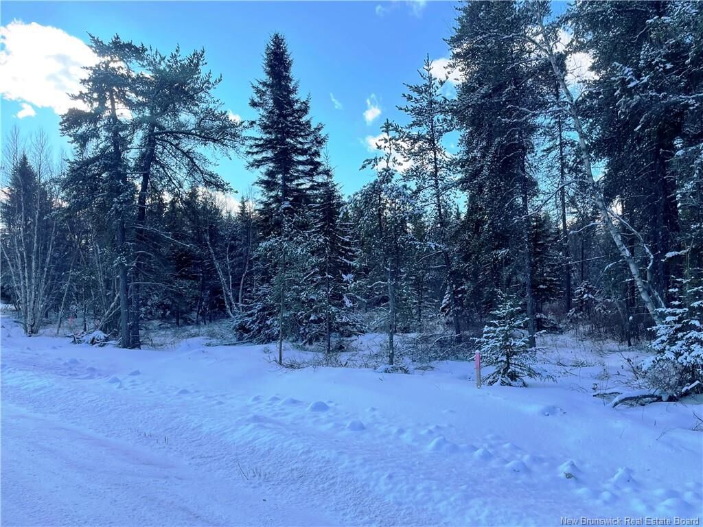 Property Photo:  Lot 74-5 Honey Street  NB E1N 3P9 