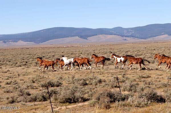 Property Photo:  Pn-65679 Hudspeth 73 Psl 10.00 Acres  TX 79851 