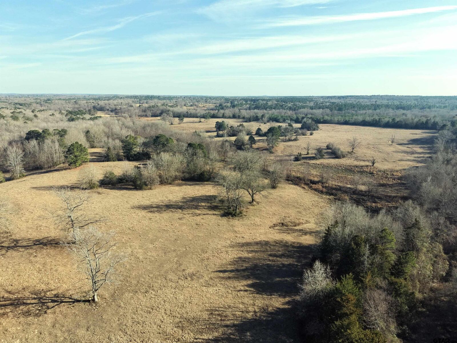 Property Photo:  Tbd Squirrel Rd  TX 75686 