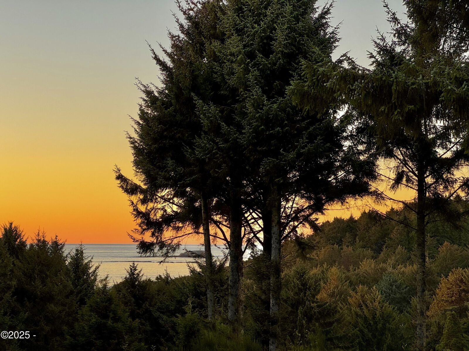 Property Photo:  12282 NE Coos Street  OR 97365 