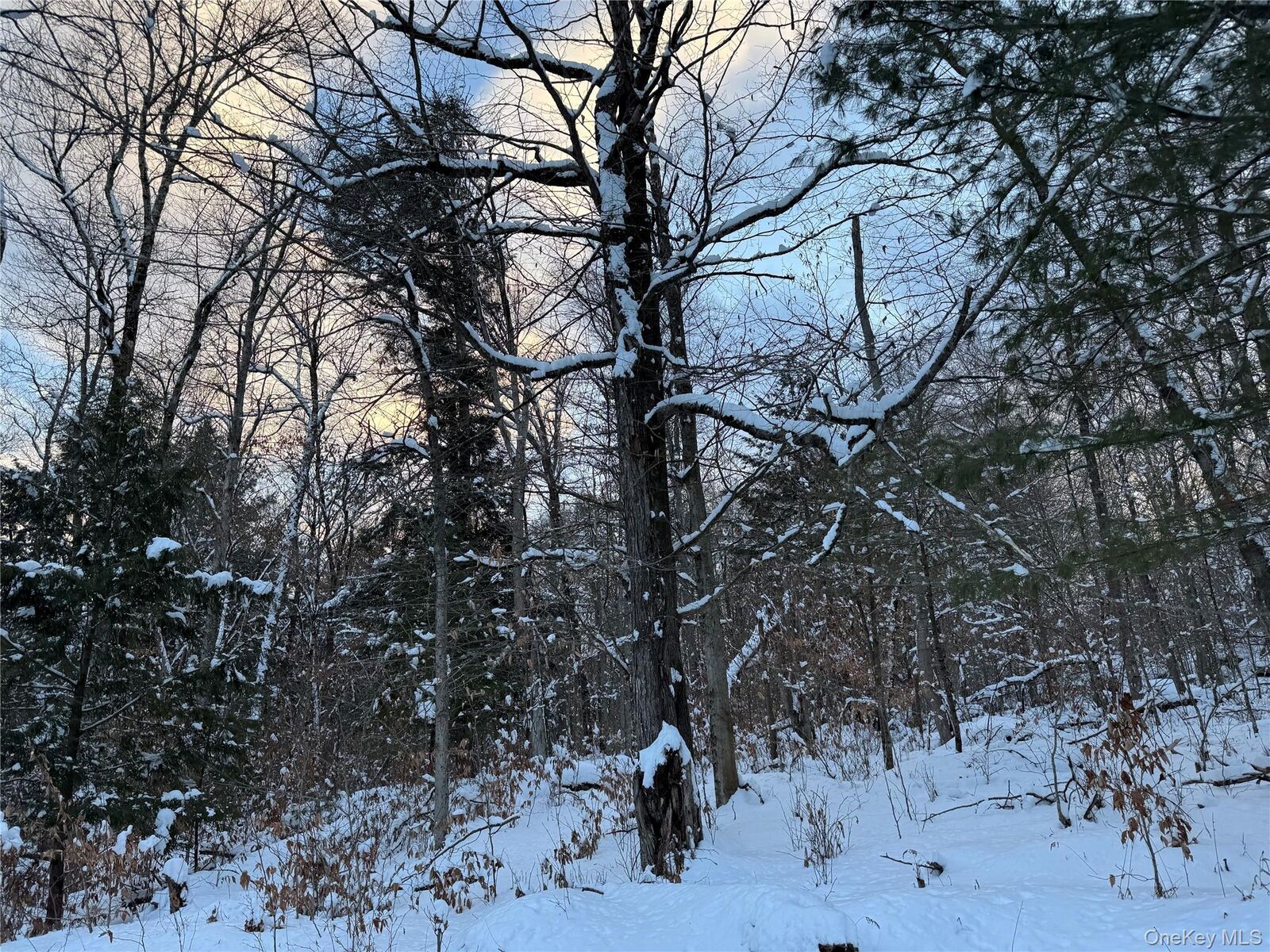 Property Photo:  00 Starlight Road  NY 12701 