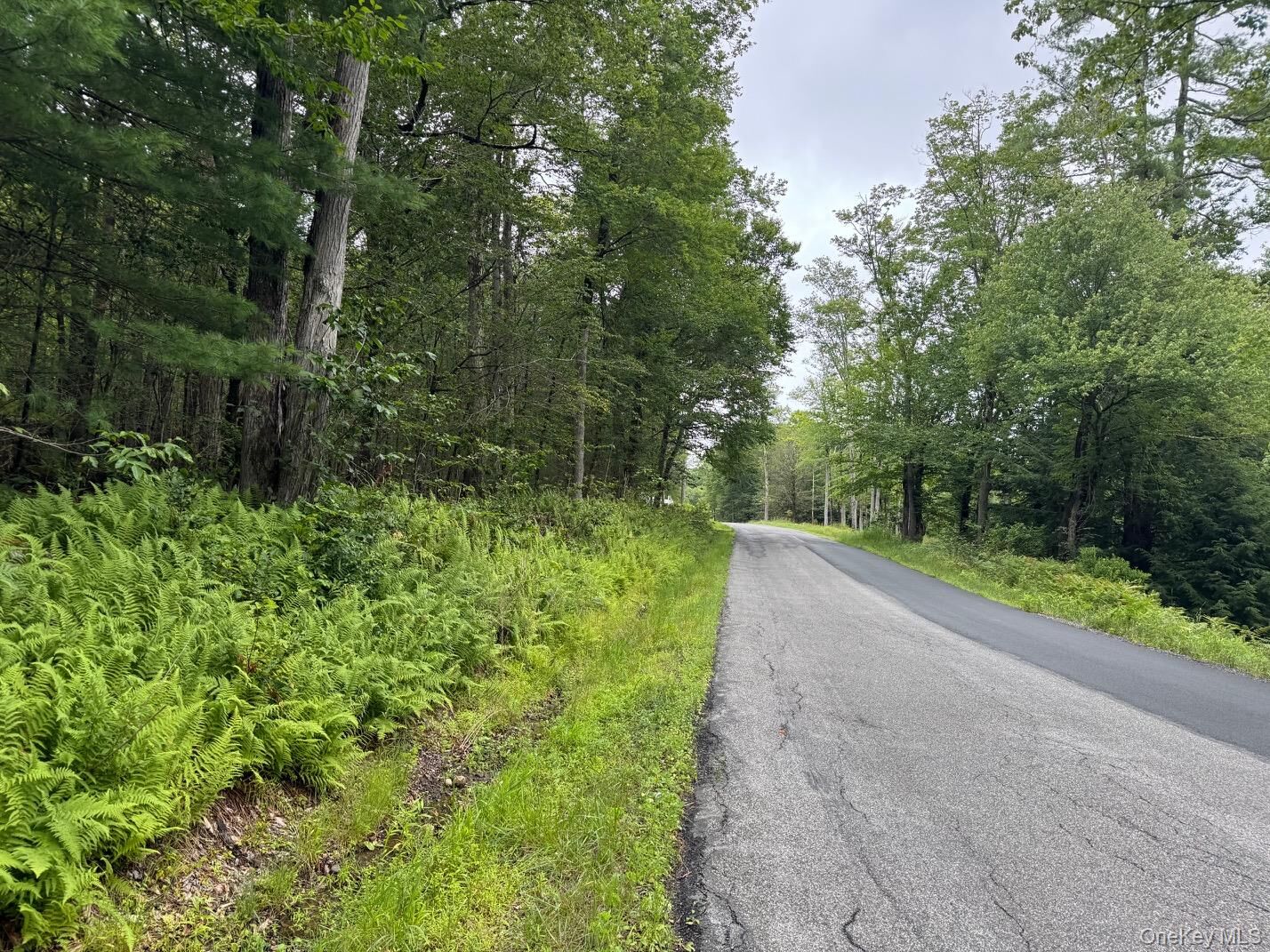 Property Photo:  00 Starlight Road  NY 12701 