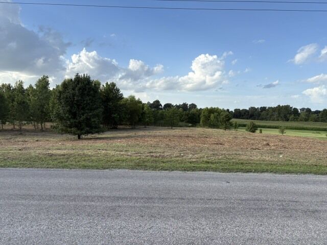 Property Photo: 000 Lavern Road IL 62924