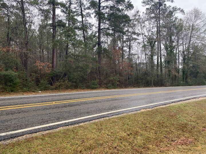 Property Photo: Tbd Fm 2497 TX 75941