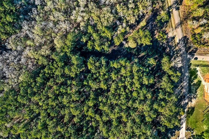 Property Photo:  12509 Goldentop Drive  LA 70433 