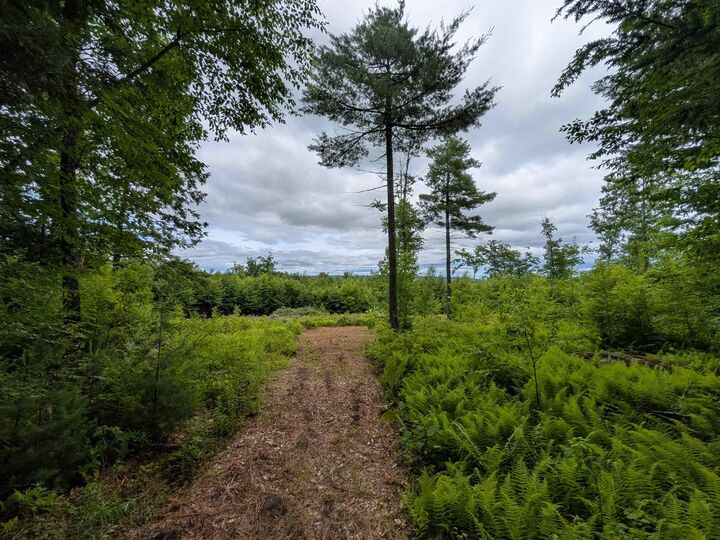 Property Photo:  58-6-2 Duggin Road  NH 03086 