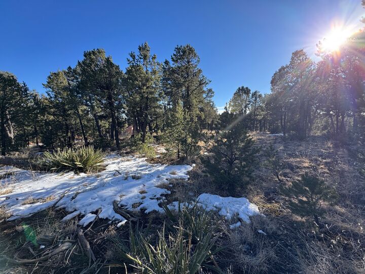 Property Photo:  7 Dancing Hawk Drive  NM 87552 