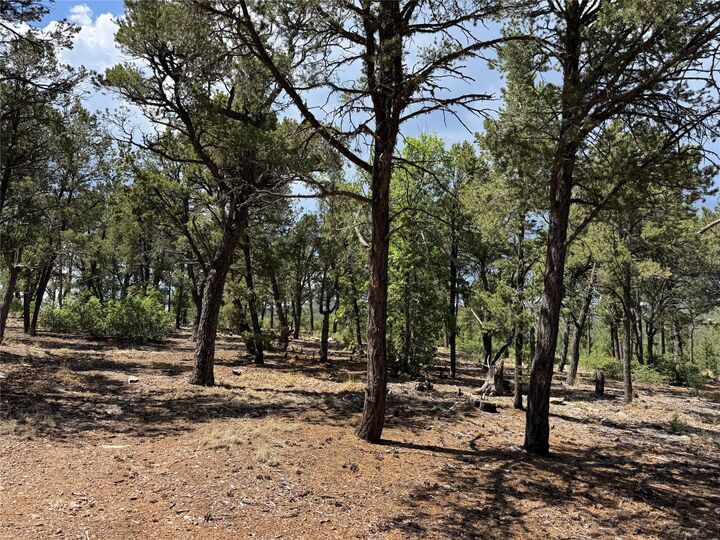 Property Photo: 7 Dancing Hawk Drive NM 87552