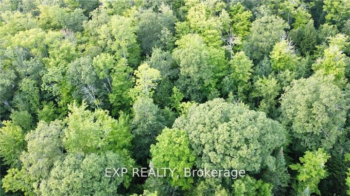 Property Photo:  Lot A Chippawa Road  ON K0J 1B0 