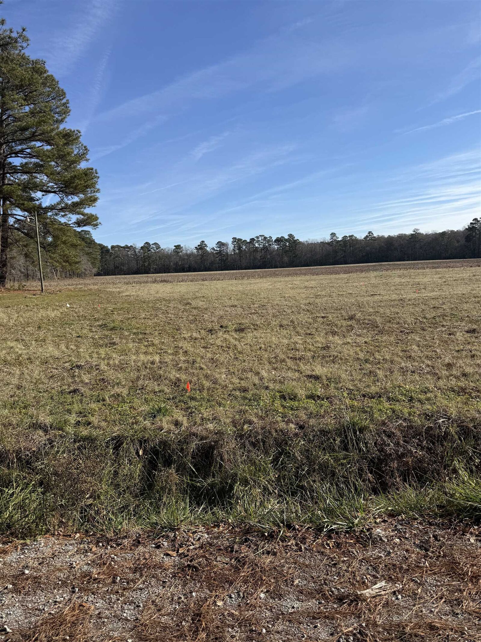 Property Photo: Lot 4 Johnson Shelley Rd. SC 29526