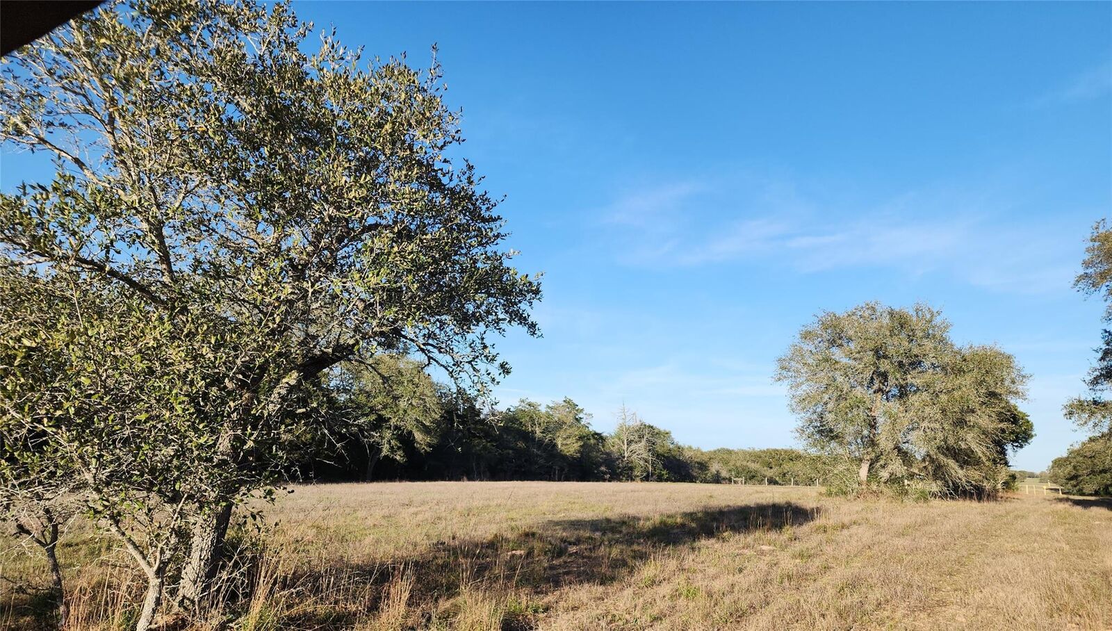 Property Photo: Tbd Fm-3283 TX 77964