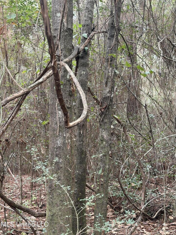 Property Photo:  00 Lorraine Road  MS 39532 