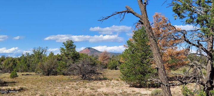 Property Photo:  6863 N State Route 64  AZ 86046 
