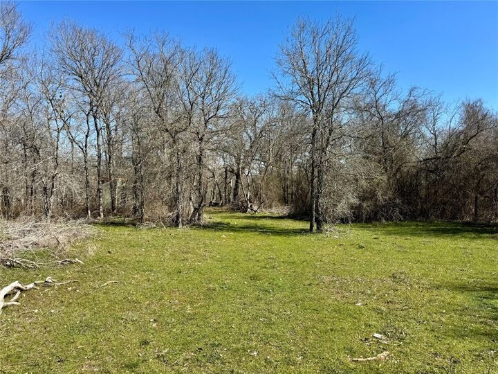 Property Photo:  000 County Road 418A Road  TX 76511 