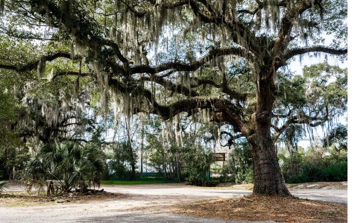 Property Photo:  10670 Ocean Hwy.  SC 29585 