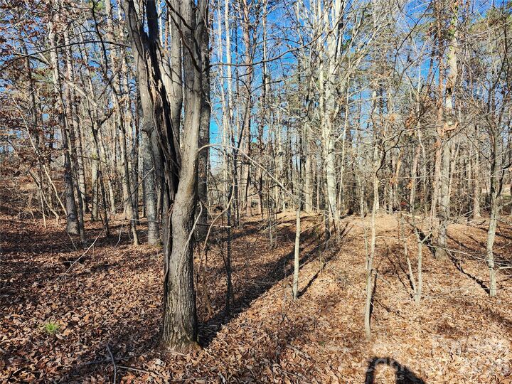 Property Photo:  0000 Forest Ridge Road 22  NC 28782 