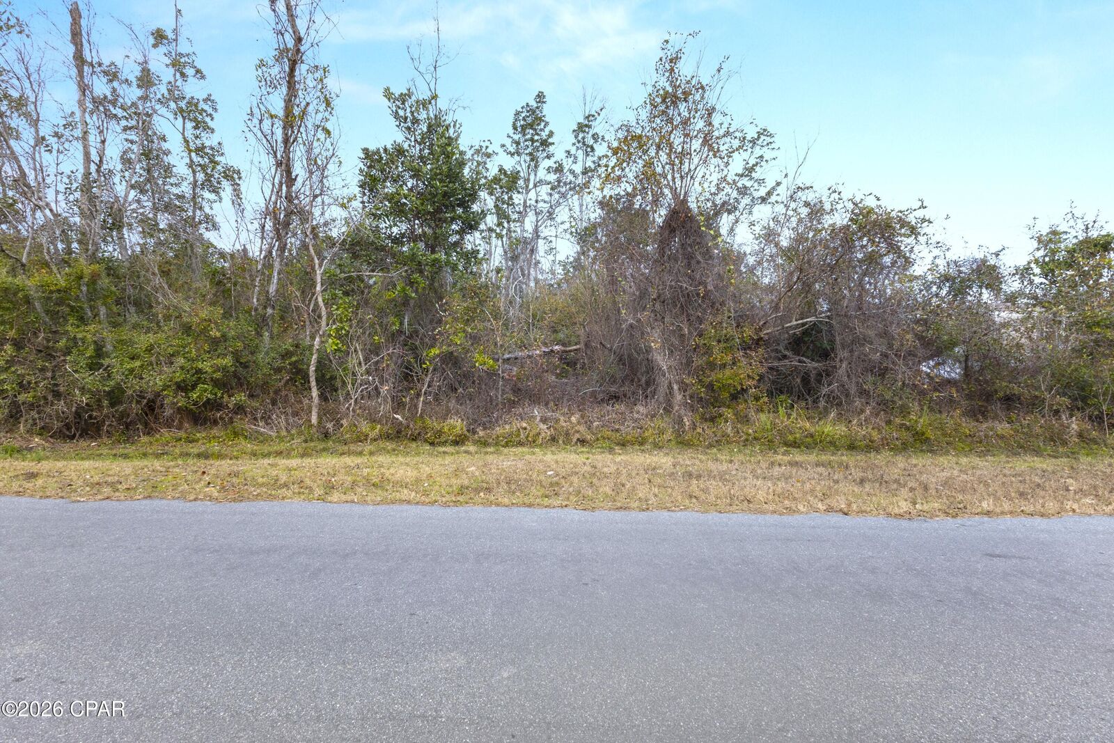 Property Photo:  000 Magnolia Avenue  FL 32466 