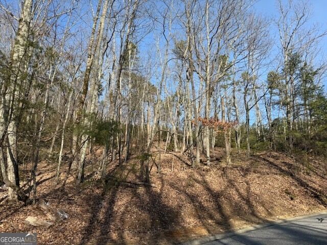 Property Photo: Lt 1502 Raspberry Lane GA 30523