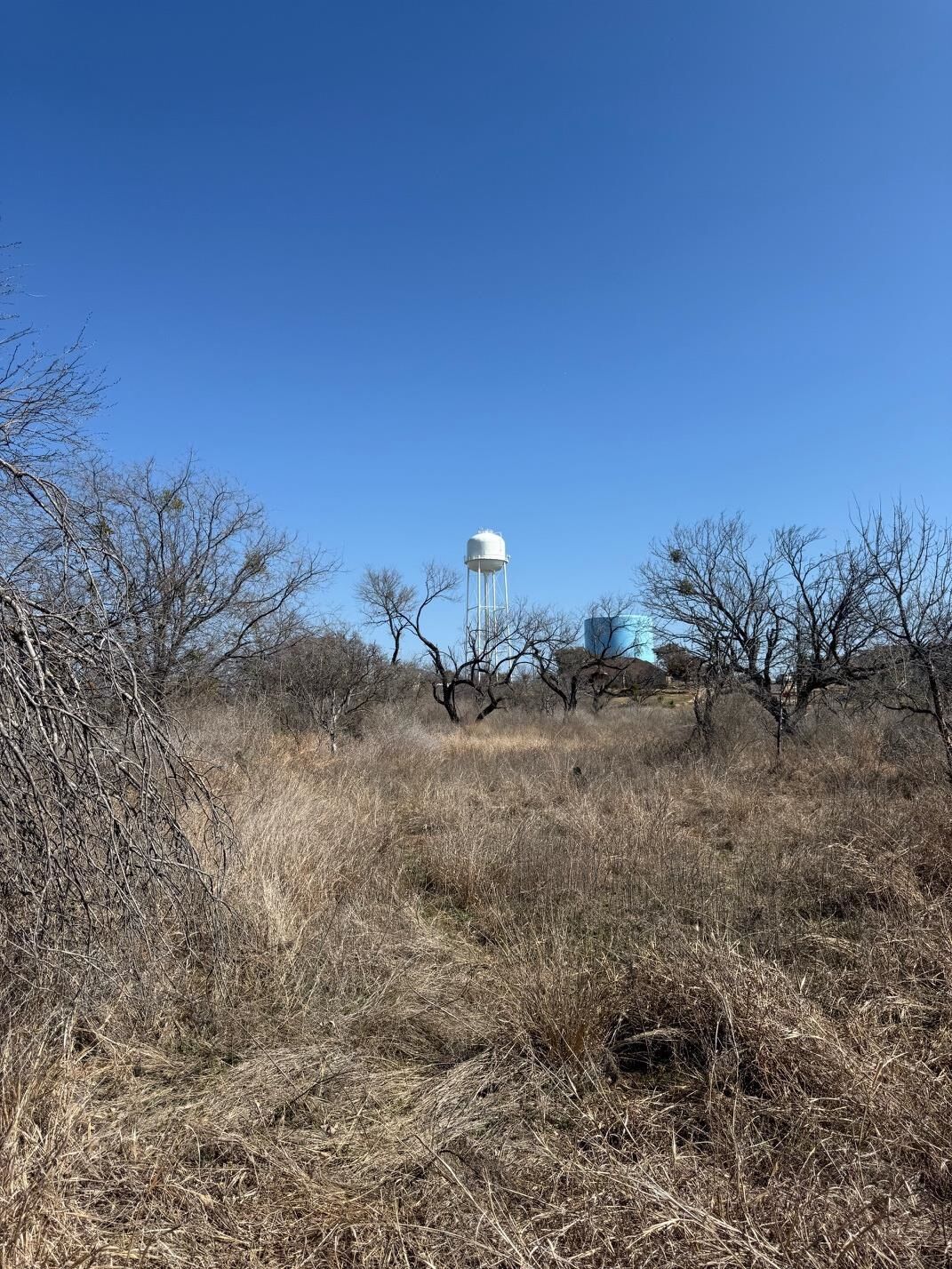 Property Photo:  Tbd Hale Street  TX 78643 