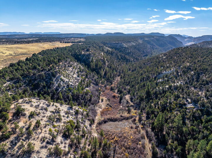 Property Photo: 6 S North Fork Rd UT 84758