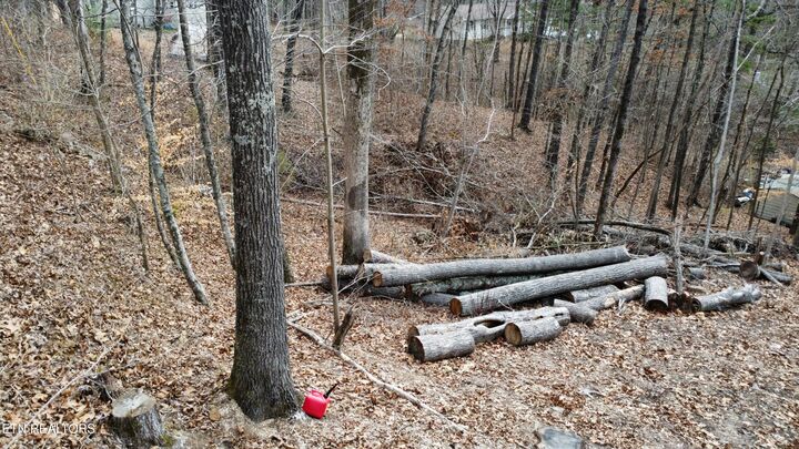 Property Photo:  111 Scenic Drive  TN 37748 