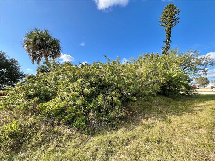 Property Photo:  4231 Oneill Street  FL 33948 