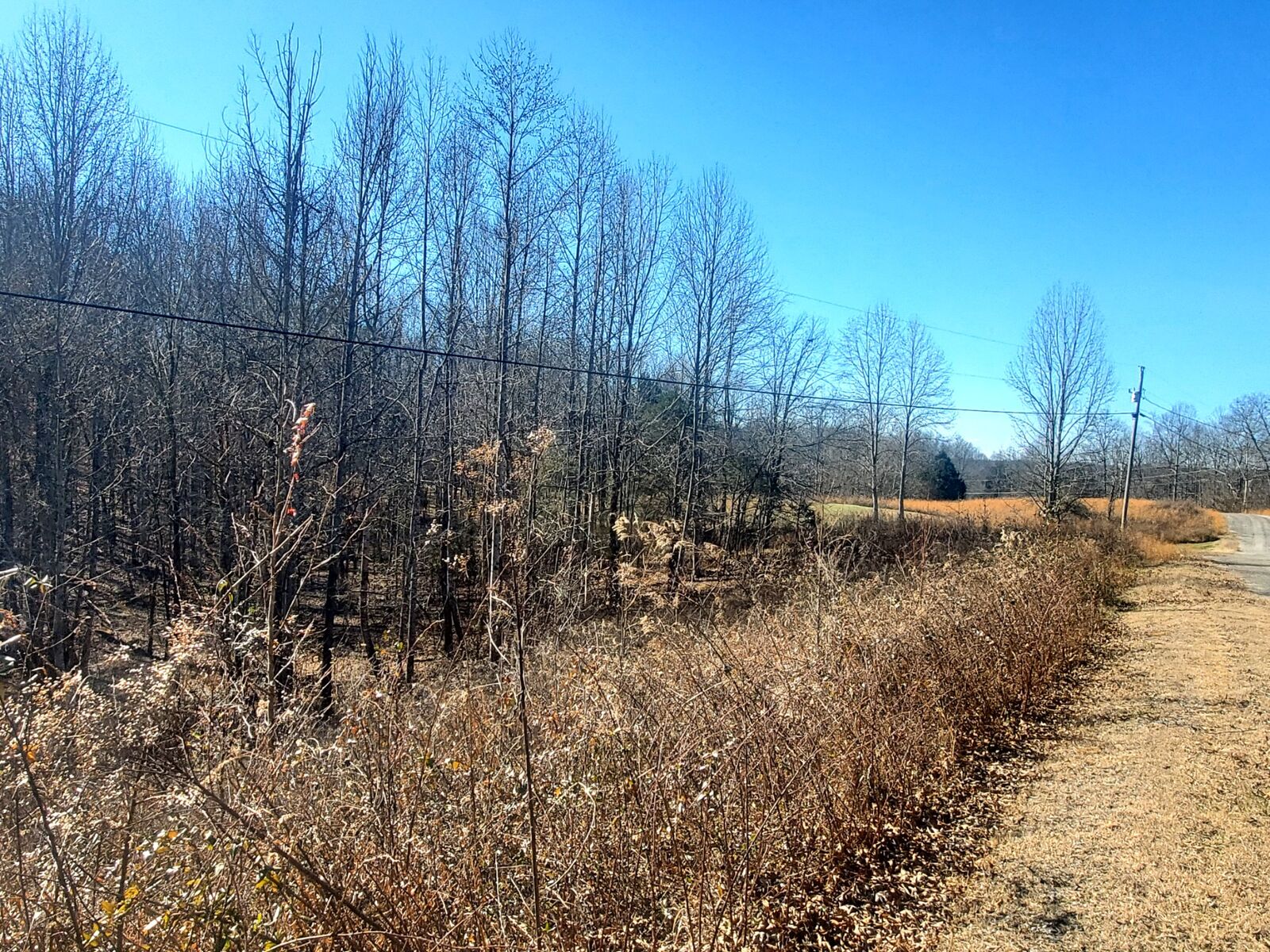 Property Photo: 0 Summer Breeze Dr TN 37166