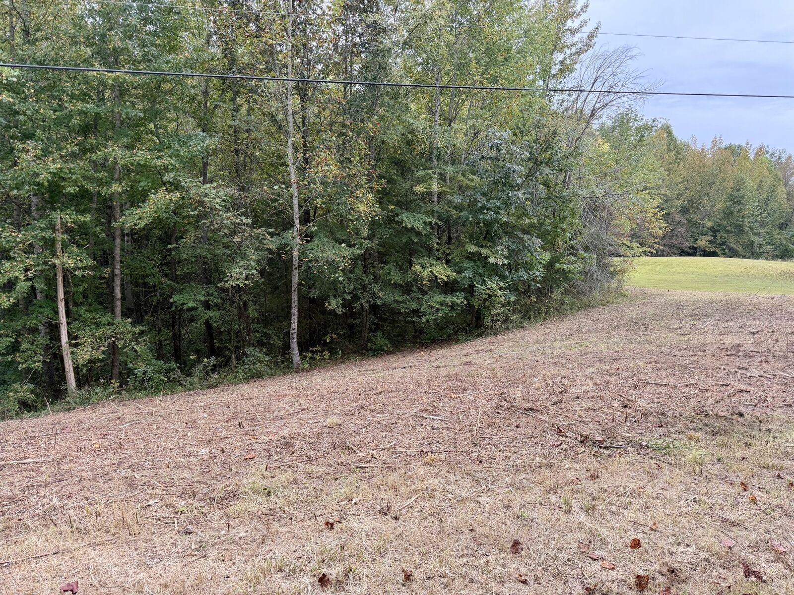 Property Photo:  0 Summer Breeze Dr  TN 37166 