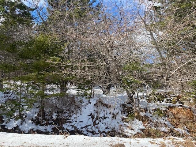 Property Photo:  No.8 Highway Maitland Bridge  NS B0T 1B0 