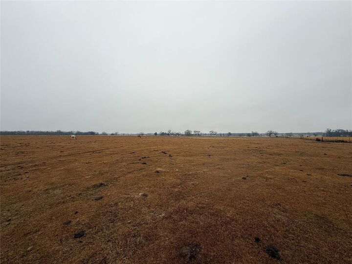 Property Photo: 505 County Road 1442 TX 75497