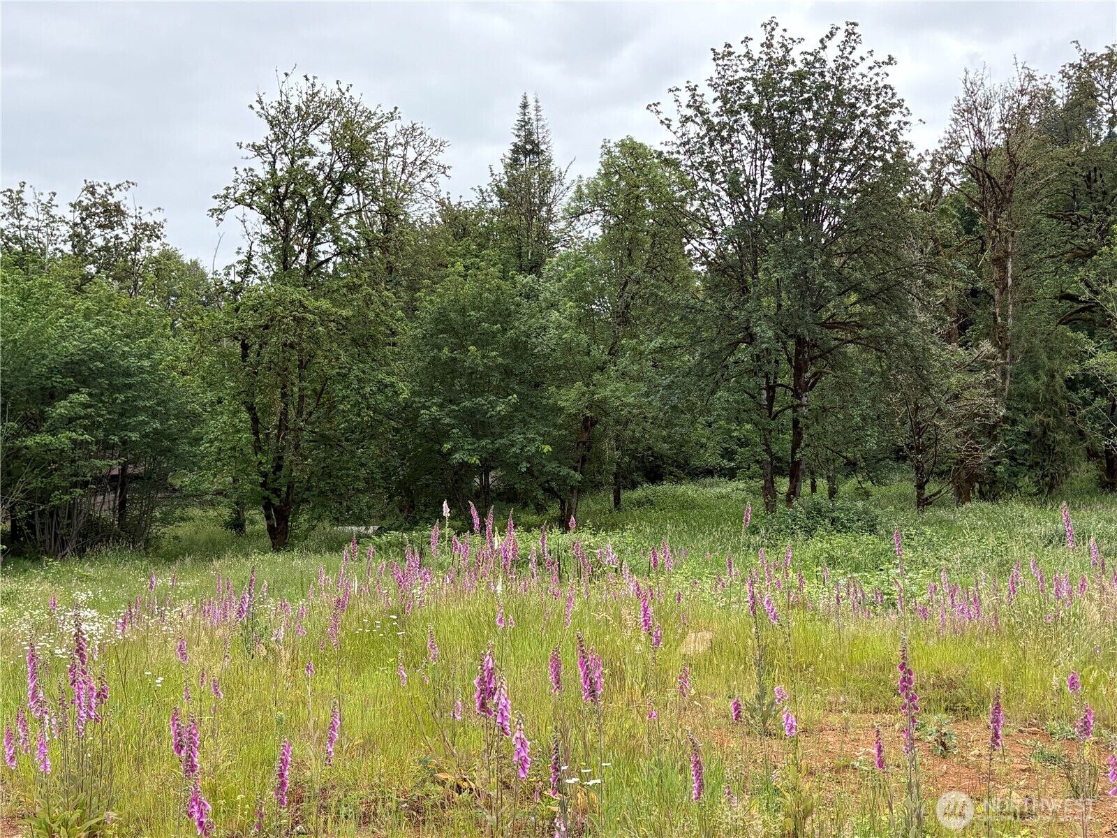 Property Photo:  155  Benson Lane  WA 98611 
