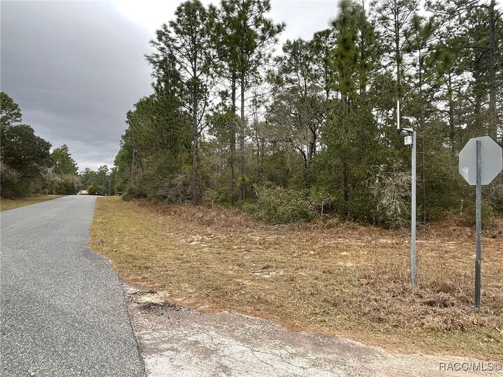 Property Photo:  6671 N Dunlap Terrace  FL 34433 