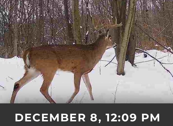 Property Photo:  17.75 Acres County Road G  WI 53952 