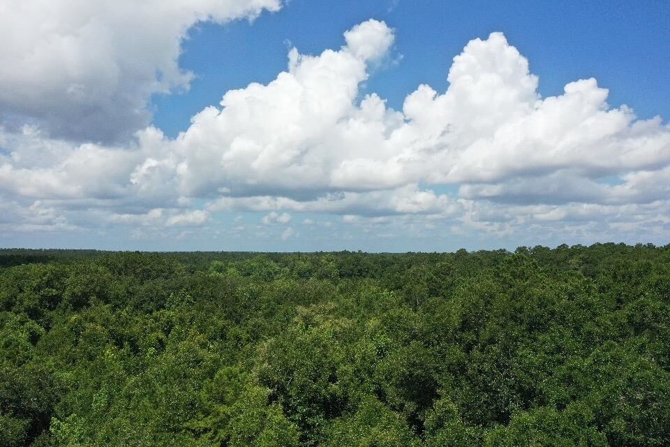 Property Photo:  Xx S Lanier Road  FL 32333 