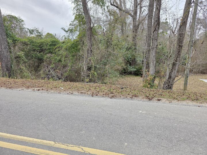 Property Photo:  0 Mitten Road  SC 29461 