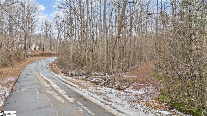 Property Photo:  00 Ponder Lane  SC 29687 