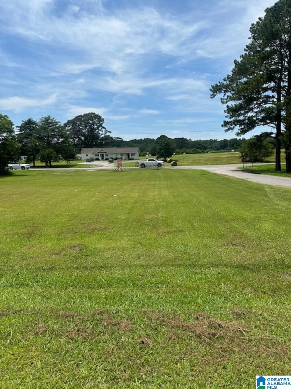 Property Photo: 0 County Road 437 0 AL 35057