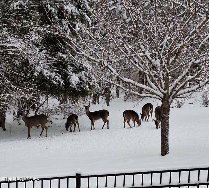 Property Photo:  640 Windward Point  TN 37772 