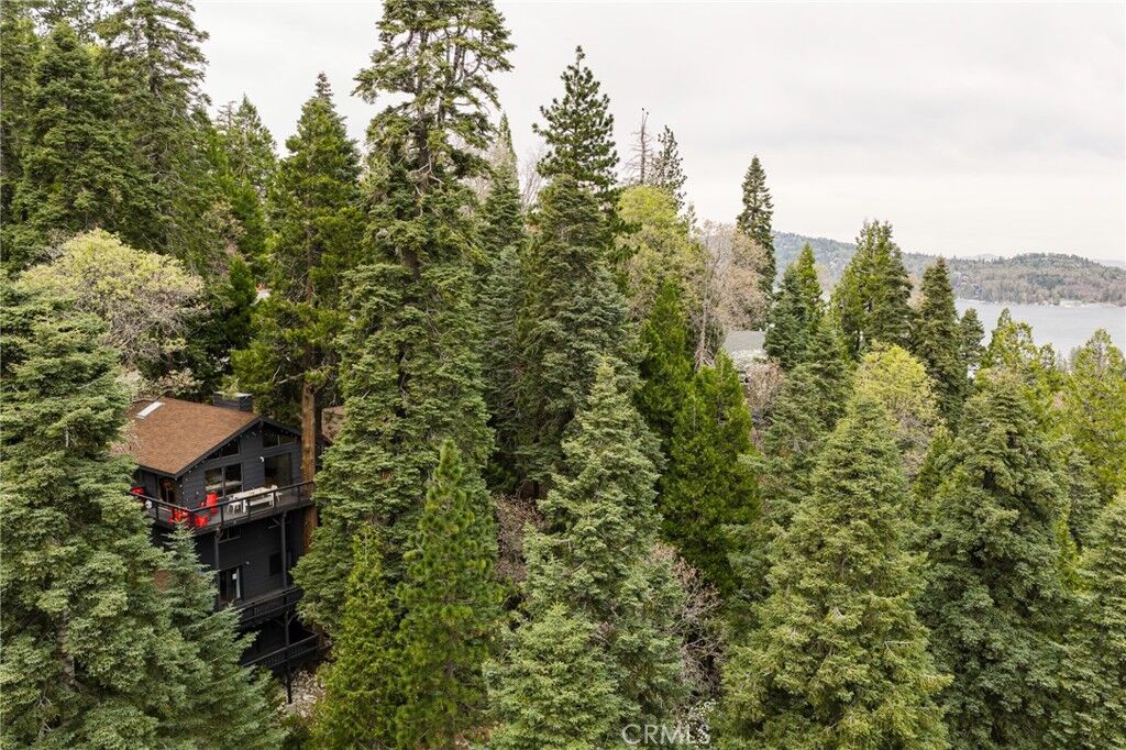 Property Photo:  555 Dover Court  CA 92352 