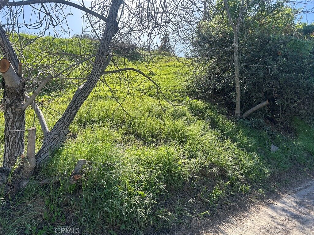 Property Photo:  4042 Harriman  CA 90032 