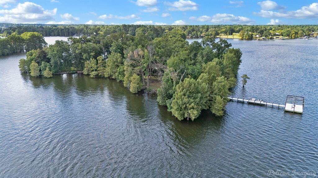 Property Photo: 0 Bird Island LA 71119