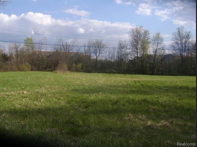 Property Photo:  0 Florence (Parcel B) Avenue  MI 48185 