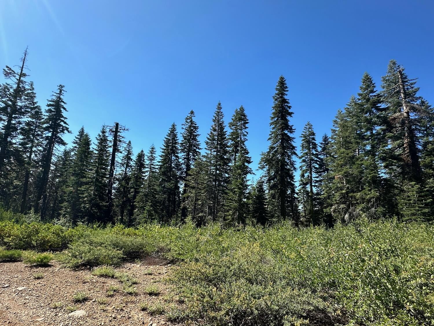 Property Photo: 19231 Marsh Mill Road CA 95959